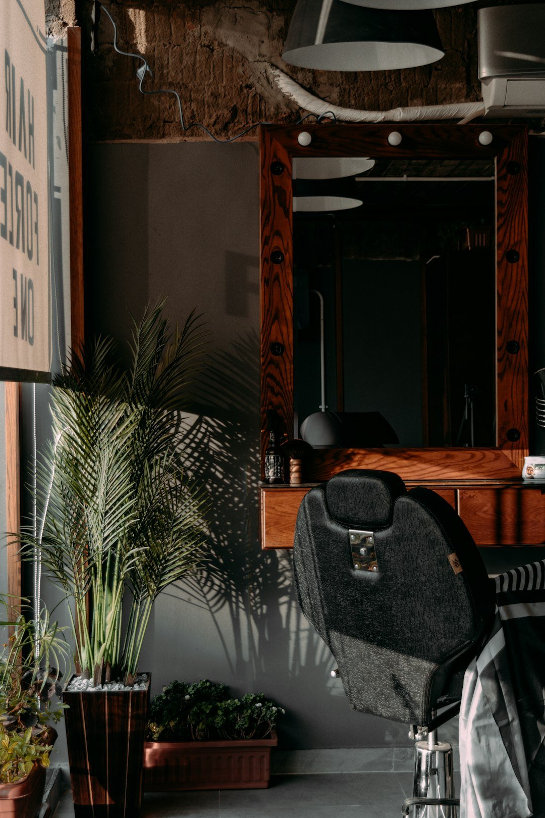 collection-02 a-chair-sitting-in-a-room-next-to-a-potted-plant-yugaozzci4a