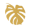 Golden Monstera leaf